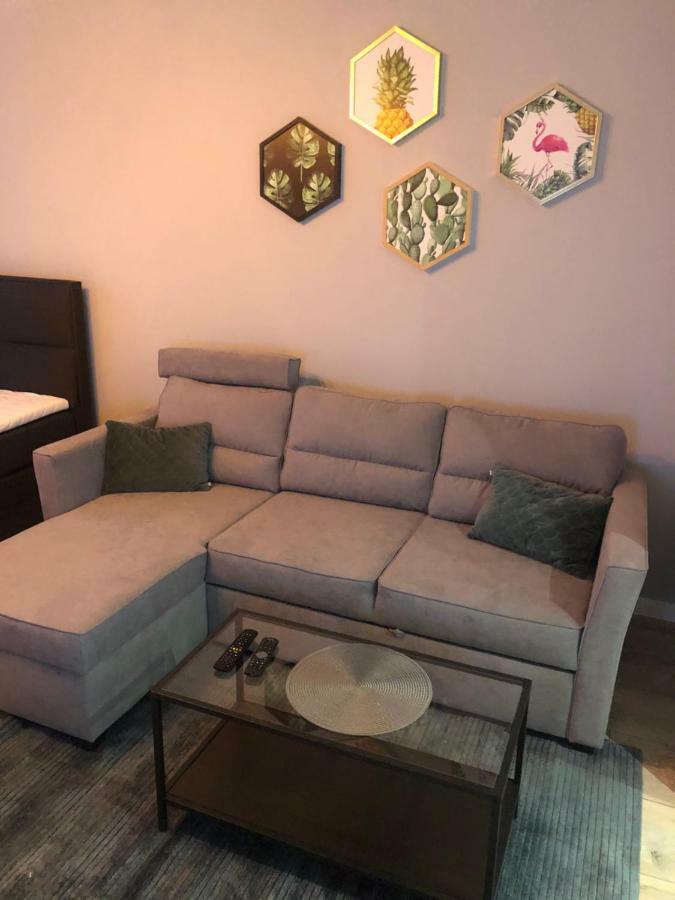 Apartament Flaming Z Balkonem - Scisle Centrum Naprzeciwko Pkp I Pks - Self Check In - Darmowy Parking - Pozne Wymeldowanie - Wystawiamy Fv Opole Exterior foto